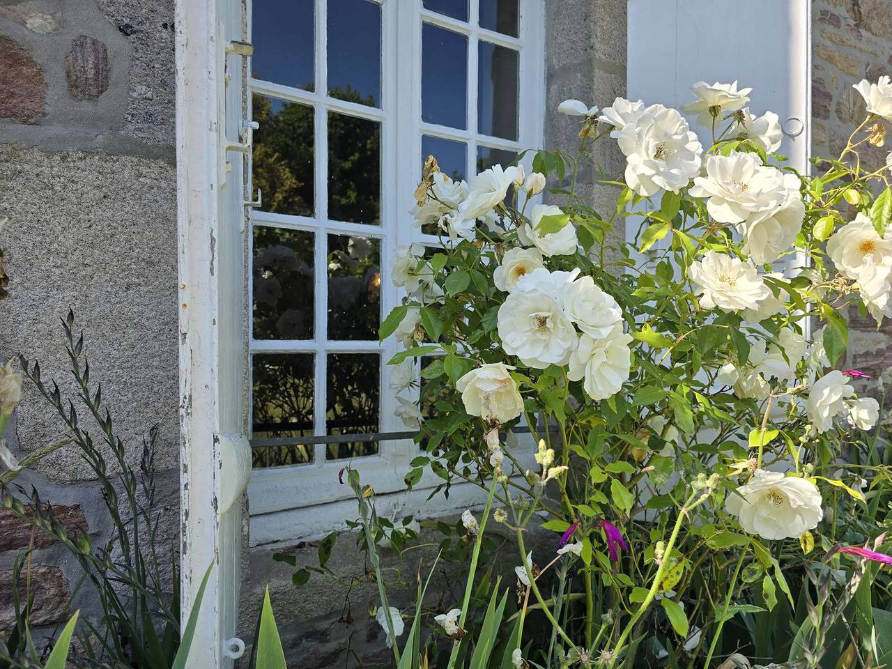 Ferienhaus für 9 Personen in Erquy, Côte d’Émeraude