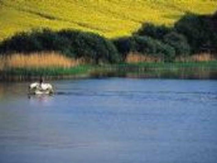 Ferienwohnung für 4 Personen, mit Terrasse und Garten, kinderfreundlich in Hasselberg - 3