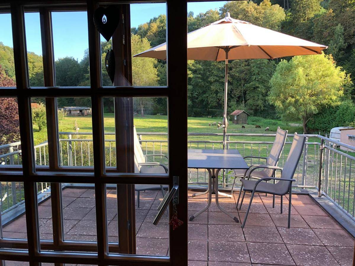 Ganze Wohnung, Apartment in Schönau (Pfalz), Landkreis Südwestpfalz