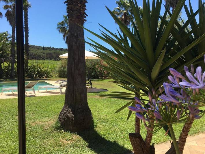 Chambre d’hôte pour 2 personnes, avec vue ainsi que piscine et jardin, animaux acceptés à Ramatuelle - 3