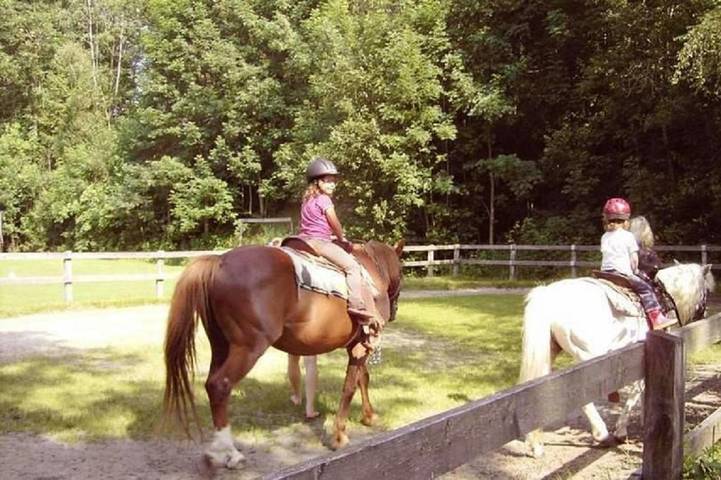 Ferienwohnung für 2 Personen, mit Garten in Schönberg (Bayern) - 4