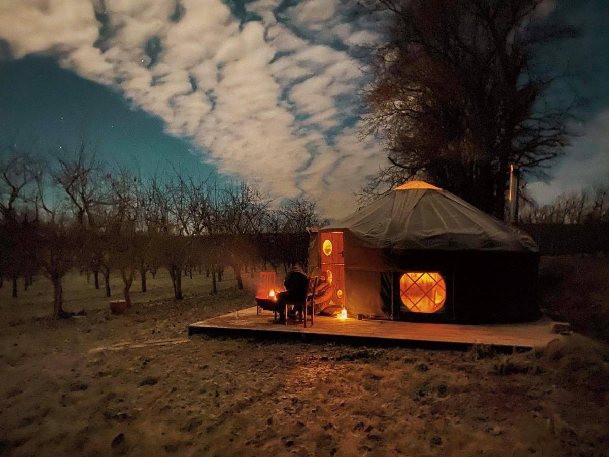 Dragon Orchard Retreat in Herefordshire