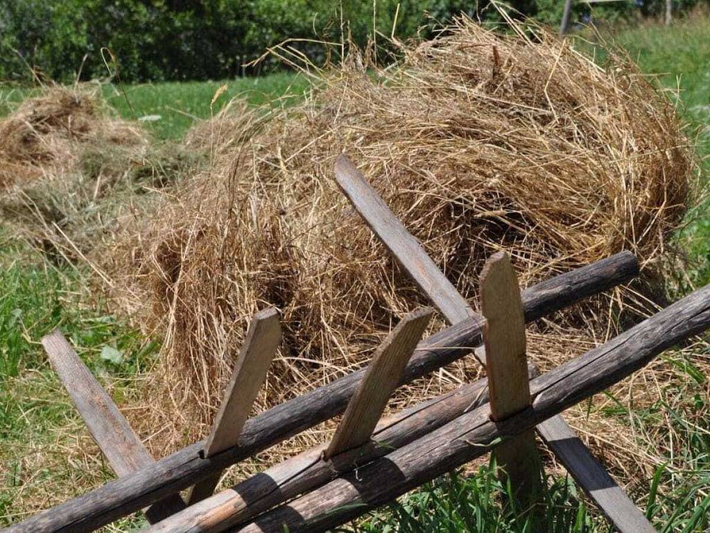 "Enzian" im Landhaus Wildschütz in Jungholz, Bayerische Alpen