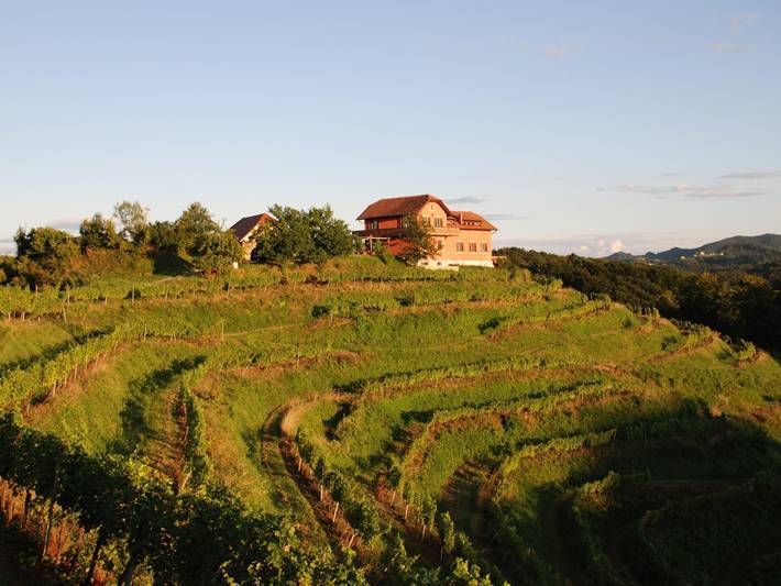 Für 8 Personen  + 4 Kinder ca. 200 m² in Ptuj, Untersteiermark (Drau Slowe in Untersteiermark