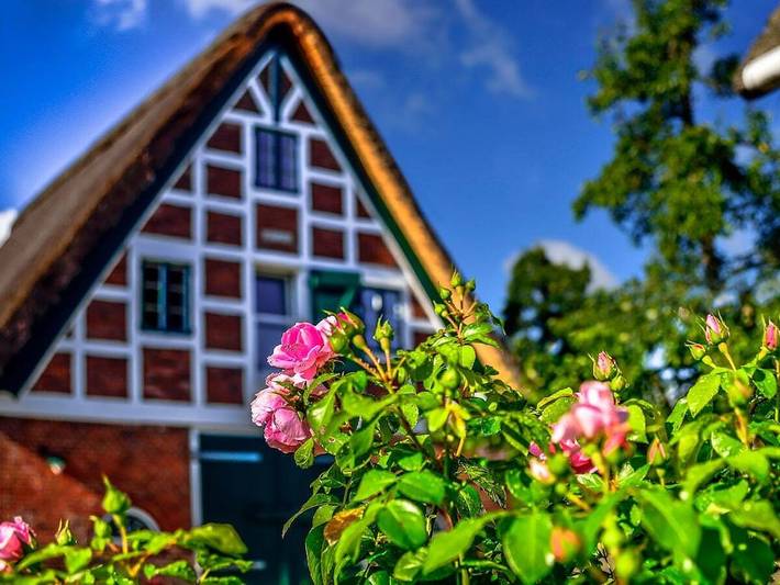 Ferienhaus für 2 Personen, mit Terrasse in Jork - 3