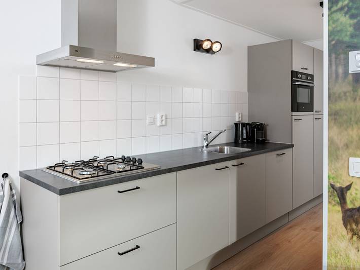 Gîte pour 4 personnes, avec jardin et sauna aux Pays-Bas - 4