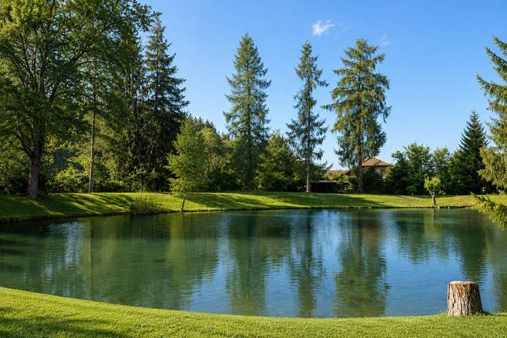 Ganze Ferienwohnung, Haus mit Fischteich – Natururlaub für Familien & Hunde in Karawanken und Bachergebirge, Feistritz ob Bleiburg