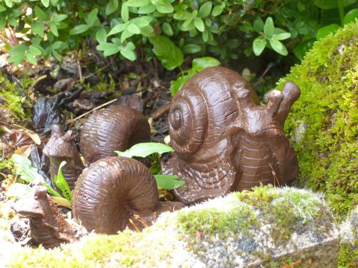 Location de vacances pour 2 personnes, avec piscine ainsi que jardin et vue à Ornans - 2