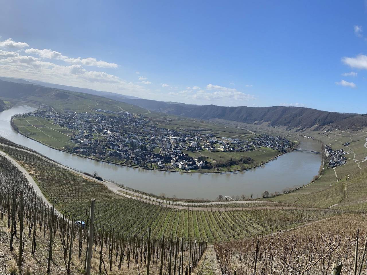 Ganze Ferienwohnung, Ferienwohnung Moselblümchen Amelie - Ferienwohnung Moselblümchen Amelie in Piesport, Bernkastel-Kues & Umgebung
