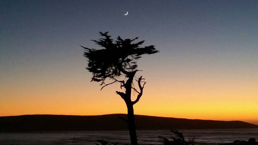 Vacation rental for 2 people, with terrace and yard in Dillon Beach