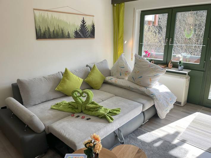 Ganze Wohnung, Ameisenpfad Todtmoos - Gemütlichkeit und Panorama - Mein Swh in Todtmoos - Vordertodtmoos, Todtmoos