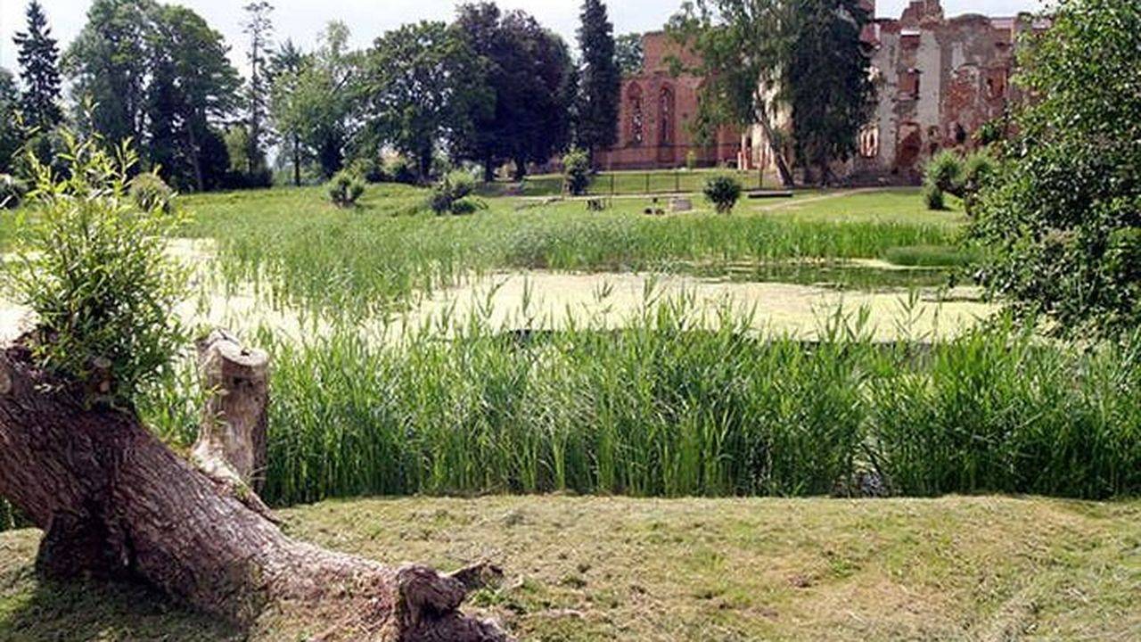 Ferienhaus für 2 Personen (40 m²) in Dargun in Dargun, Mecklenburgische Seenplatte