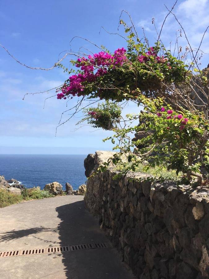 Casa rural para 4 personas, con piscina además de jacuzzi y jardín en Icod de los Vinos - 4