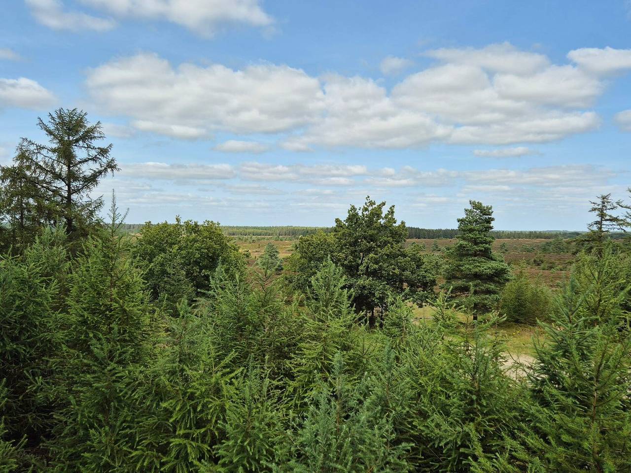 Familienruckzug in Hovborg in Hovborg, Vejen