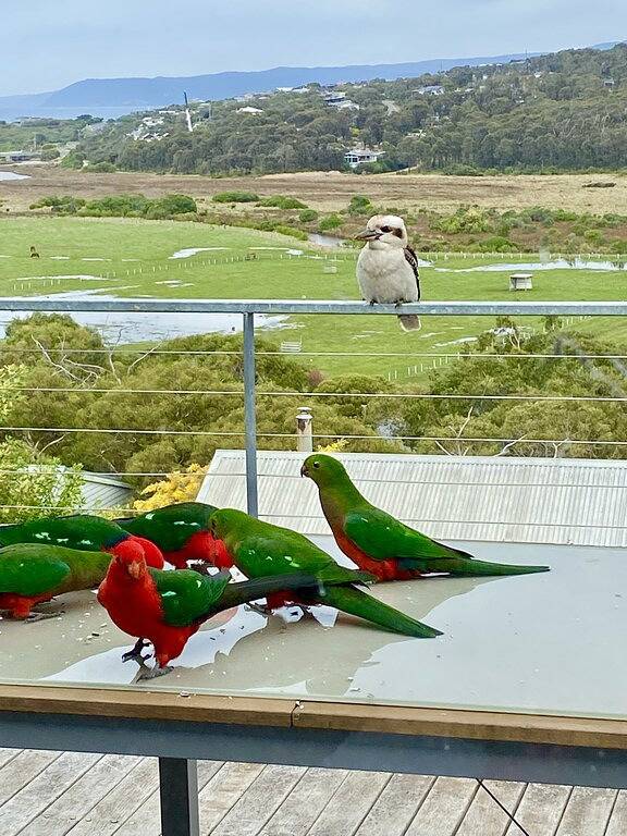 Holiday home for 9 people, with balcony and garden in Aireys Inlet