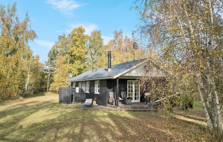 Ferienhaus für 4 Personen, mit Garten und Terrasse, mit Haustier in Marielyst