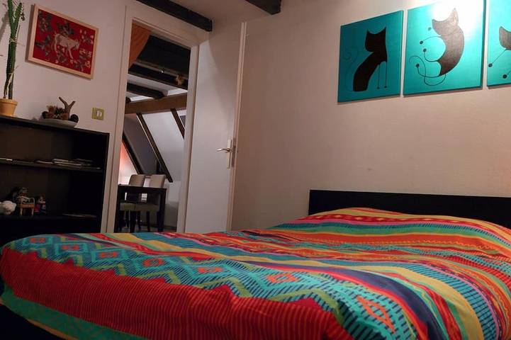 Apartamento entero, Duplex con encanto cerca de la catedral in Estrasburgo, Región de Estrasburgo