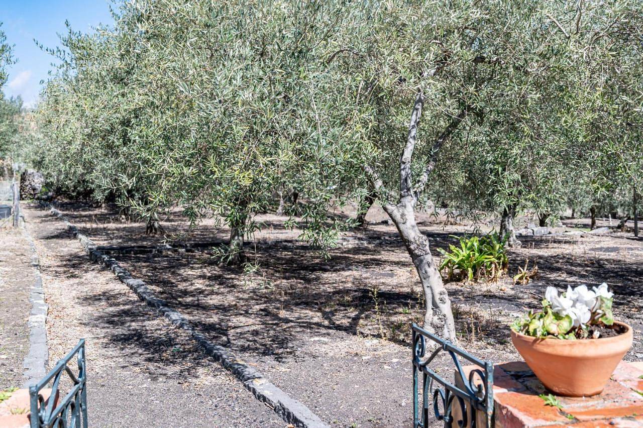 Guesthost - Villa Ninina in the Heart of Etna Park in Trecastagni, Etna
