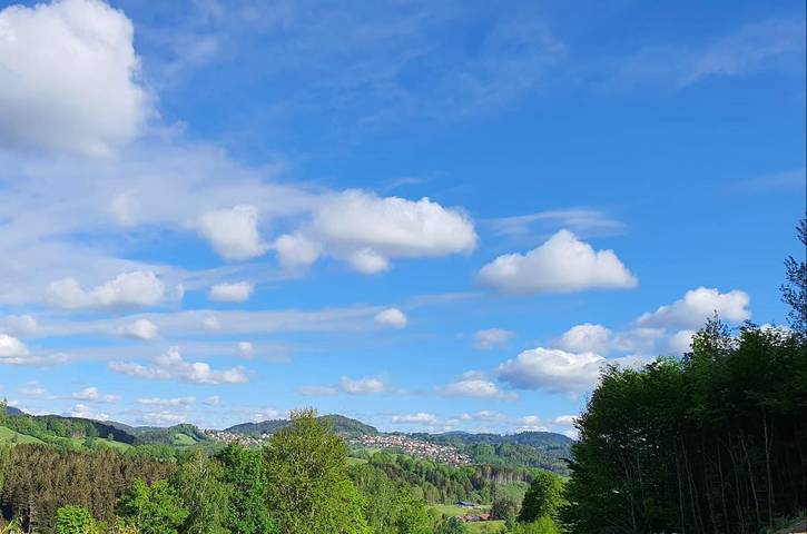 Ferienhaus für 6 Personen, mit Pool und Sauna in Schönberg (Bayern) - 3