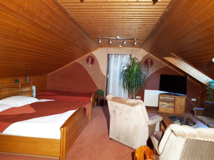 Entire apartment, Apartment 'Schwäbische Alb' with Shared Terrace, Wi-Fi and Air Conditioning in Gomadingen, Neckar-Alb