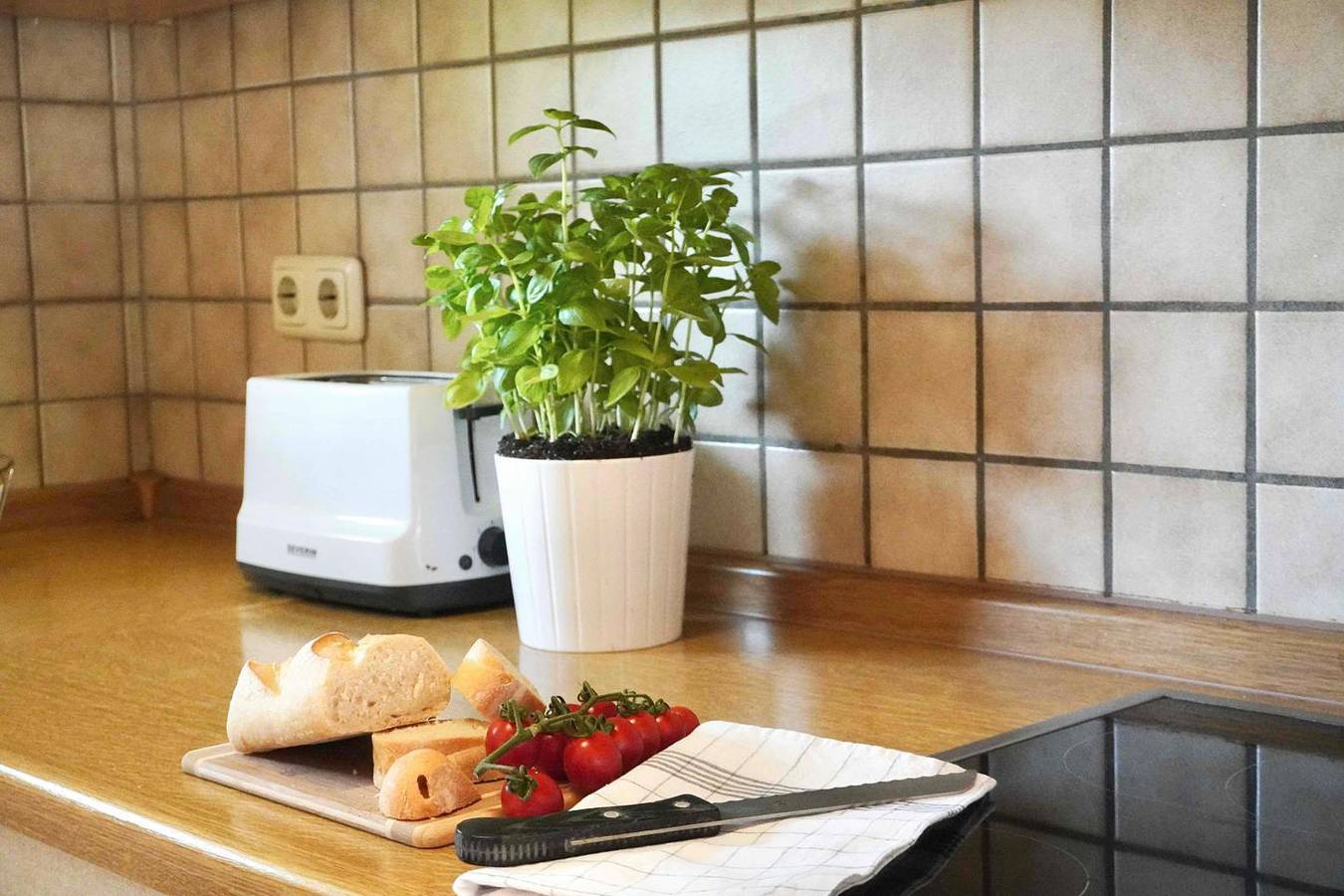 Ferienhaus "Nordwind" im Grünen, 500 m bis zum Meer, Hunde willkommen in Dorum-Neufeld, Dorum