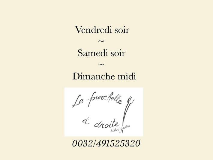 Hôtel pour 4 personnes, avec terrasse et jardin, animaux acceptés dans Jemeppe - 2