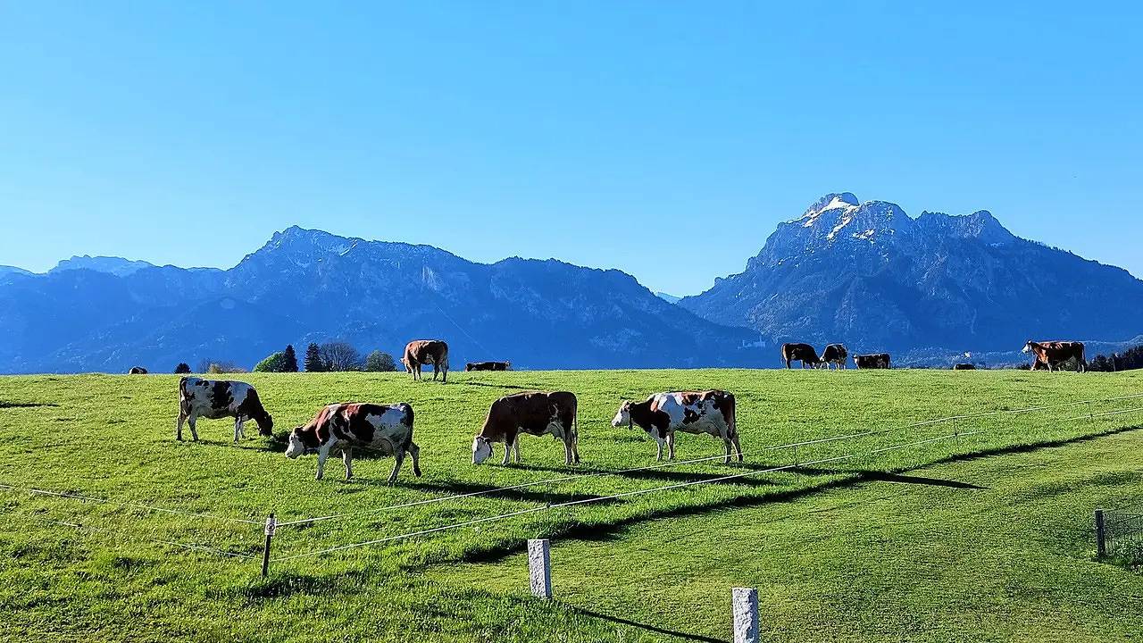 Ganze Ferienwohnung, Ferienwohnung für 2 Personen (35 m²) in Rieden, Bayerisch Schwaben