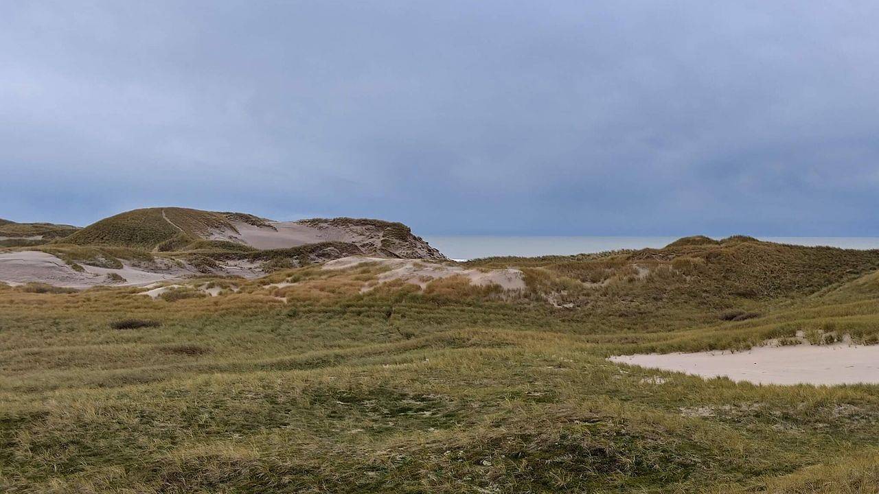 Ferienhaus für 8 Personen (148 m²) in Ulfborg Kirkeby in Ulfborg, Nissum Fjord