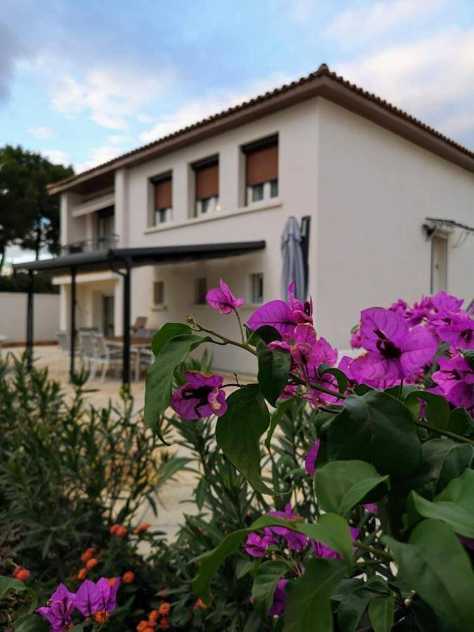 Location de vacances pour 8 personnes, avec vue et jardin, animaux acceptés à Castries - 3