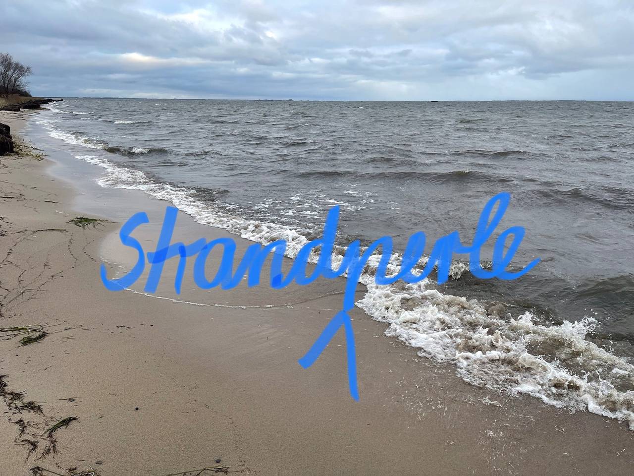 Ganze Ferienwohnung, Strandperle 1 in Loissin, Vorpommern