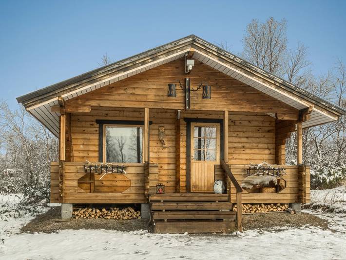 Pikkupöllö in Lappland