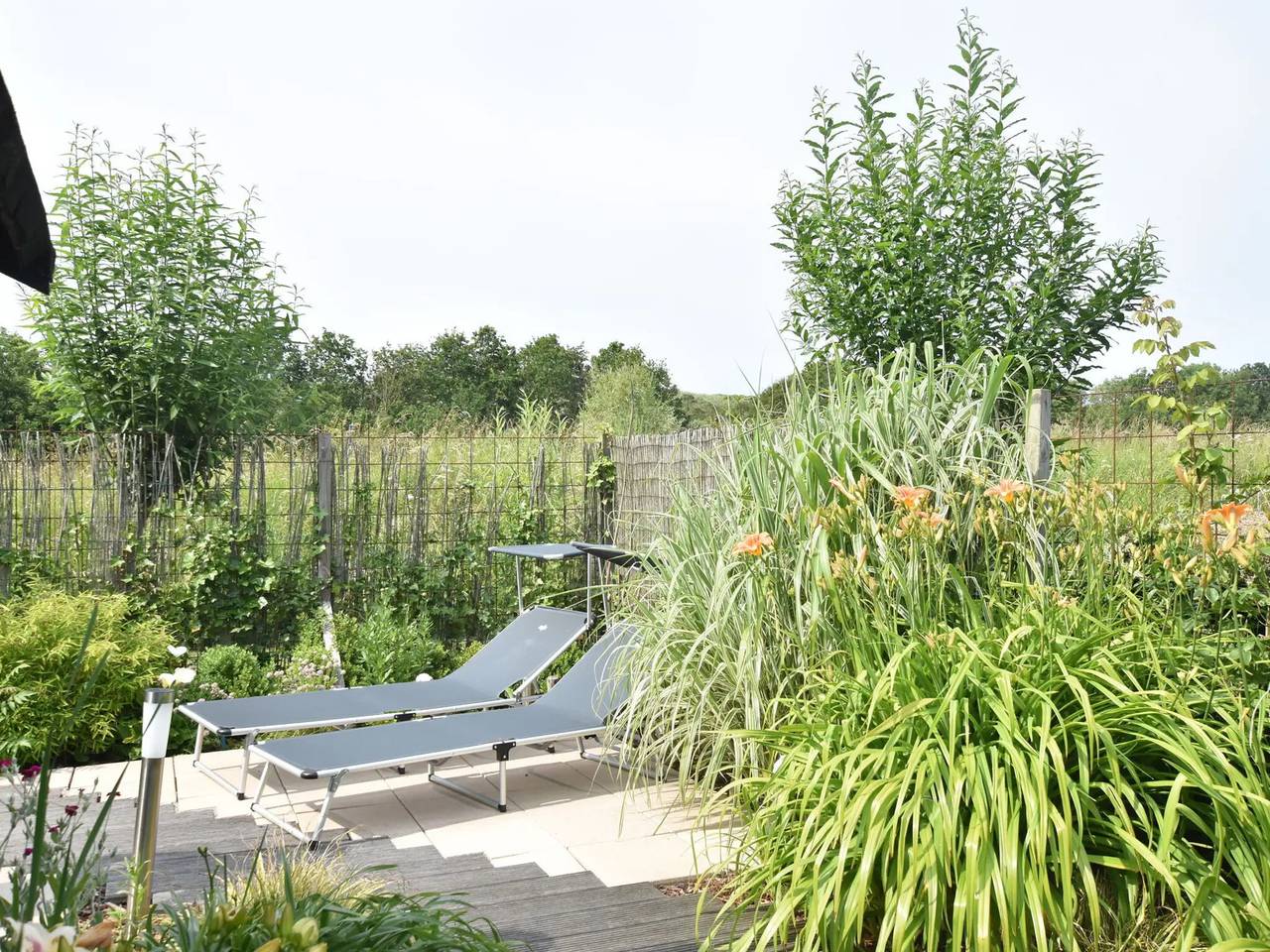 Schönes Strandhaus direkt am Meer mit Garten in Nieuwvliet, Zeeuwse Kust