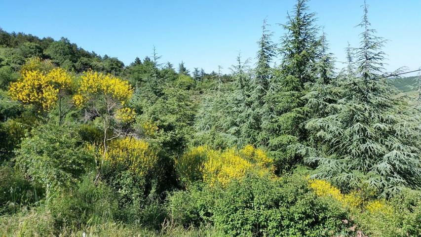 Location de vacances pour 2 personnes, avec jardin et piscine à Villeneuve-de-Berg - 3