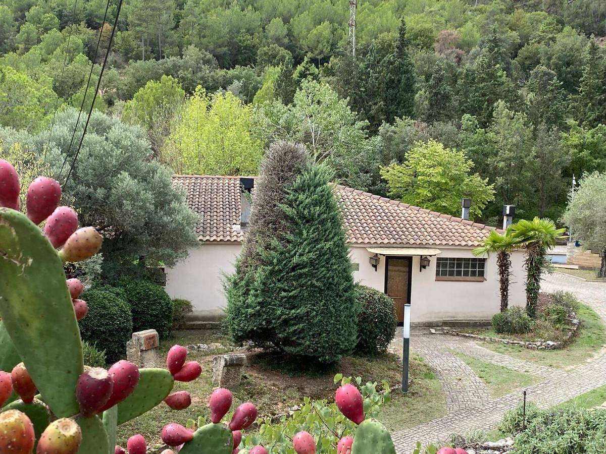 La Vinya de Mas Pujol in Súria, Pla de Bages DO