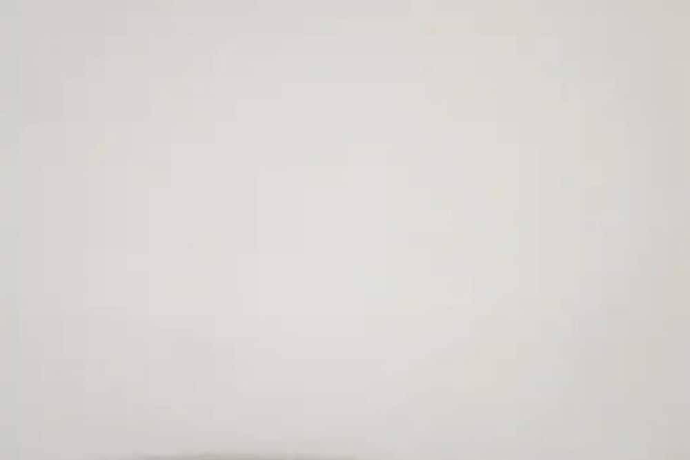 Rare village house in Ota for10 people in Ota, Parc naturel régional de Corse