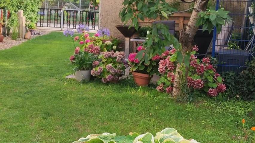 Ferienhaus für 4 Personen, mit Garten in Waren (Müritz) - 3