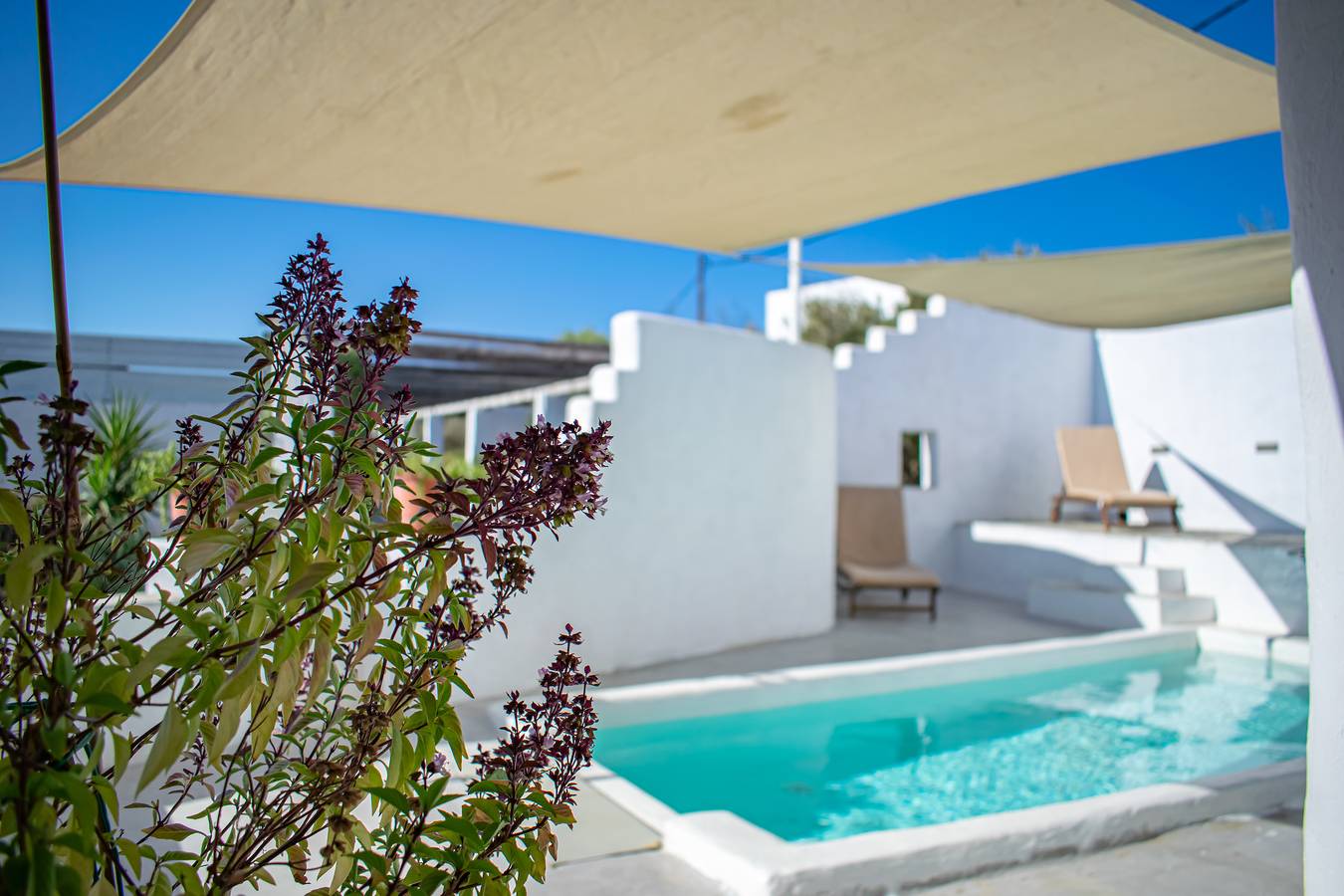 Entire studio, Cozy studio for 2 guests with 1 child or 3 adults - walking distance to beach in Sarakiniko, Paros