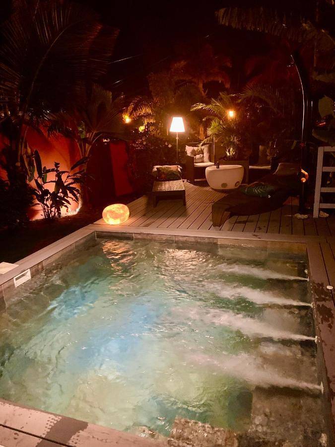 Villa pour 6 personnes, avec piscine ainsi que jardin et vue, animaux acceptés dans Saint-Gilles les Bains - 4