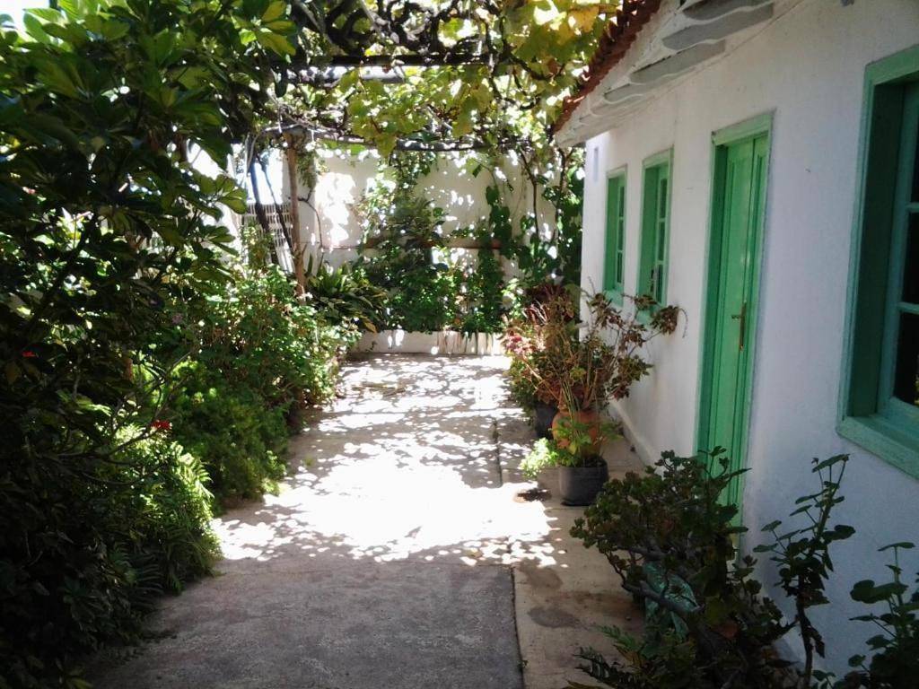 Ganzes Studio, Casa Rural Merche in Chío, Guía de Isora