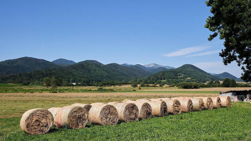 Maison de Vacances 'Chez Louisette' avec  et Wi-Fi in Espezel, Région de Limoux