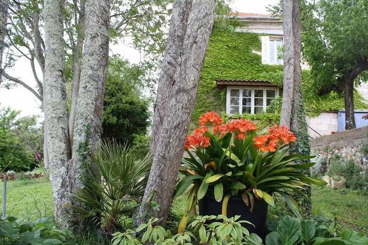 Location de vacances pour 6 personnes, avec Jardin à Saint-Trojan (Gironde)