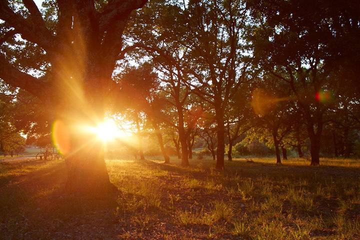 Chambre d’hôte pour 2 personnes, avec piscine et jardin dans Drôme provençale - 4