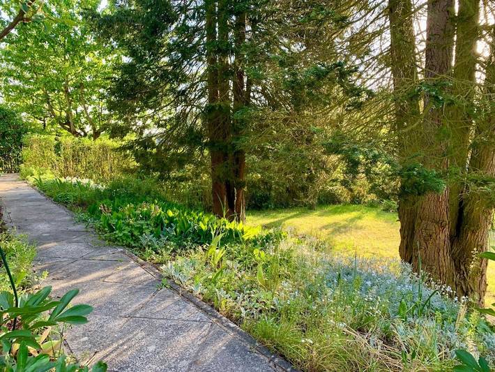 Ferienhaus für 2 Personen, mit Balkon und Ausblick sowie Garten in Mecklenburgische Seenplatte - 4