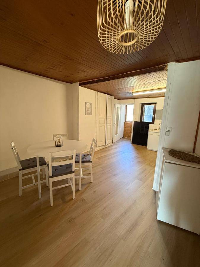 Appartement entier, Face au chateau in Vizille, Isère