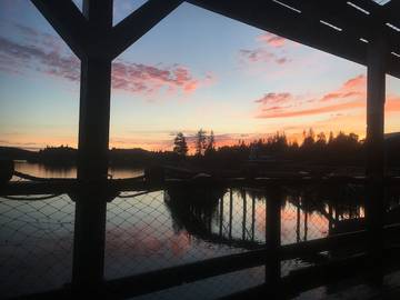 Blockhütte für 4 Personen in Halibut Cove, Alaska, Bild 2