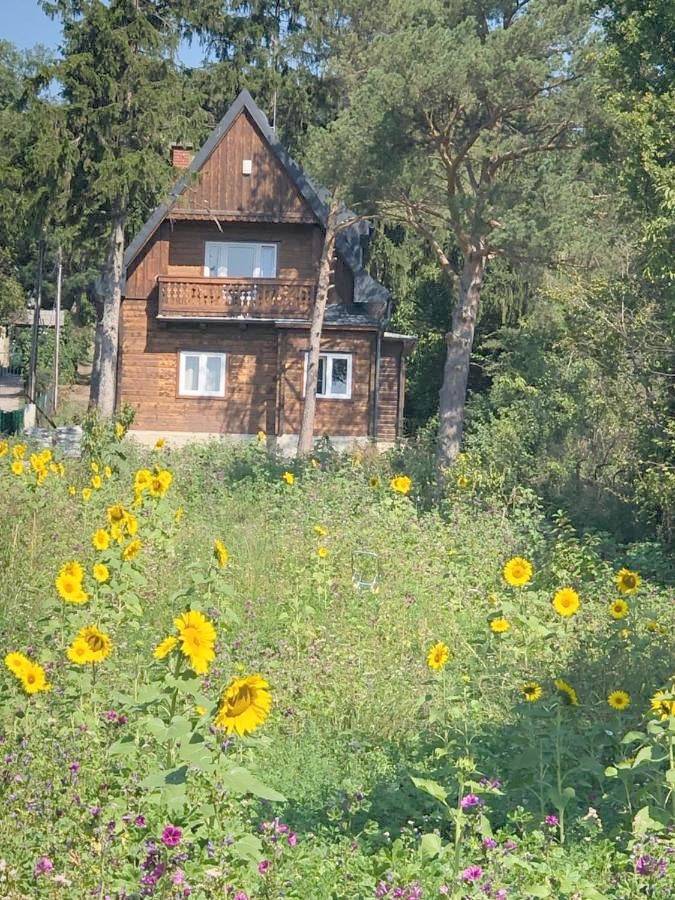 Two-Bedroom House in Wien, Donau Niederösterreich