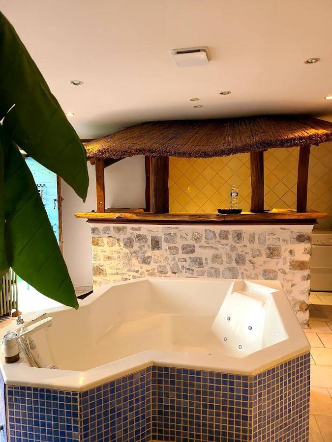 Appartement entier, Mon Jacuzzi privé sur les pas de Compostelle in Saint-Léonard-de-Noblat, Région de Limoges
