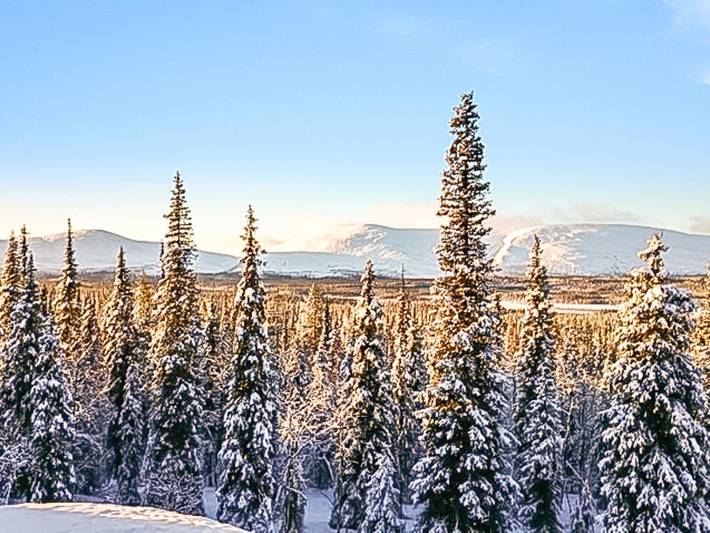 Pallaksen valkkorinne in Lappland