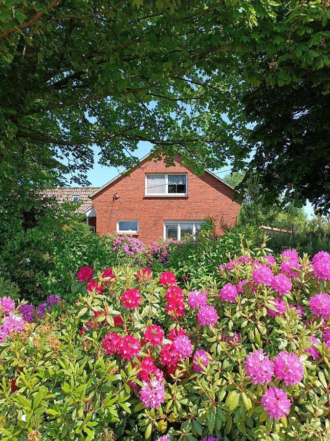 Ferienhaus für 6 Personen, mit Terrasse und Garten sowie Ausblick in Westerholt - 3