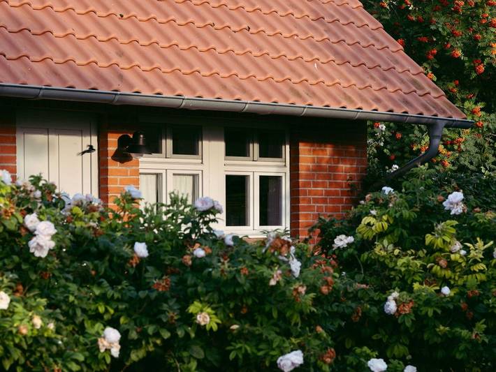 Ferienwohnung für 4 Personen, mit Terrasse und Garten in Rankwitz - 3